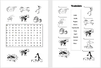 Modelos didácticos para primaria: Animales vertebrados e ...