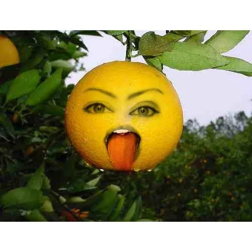 Cosas que molan: Caras de fruta xD