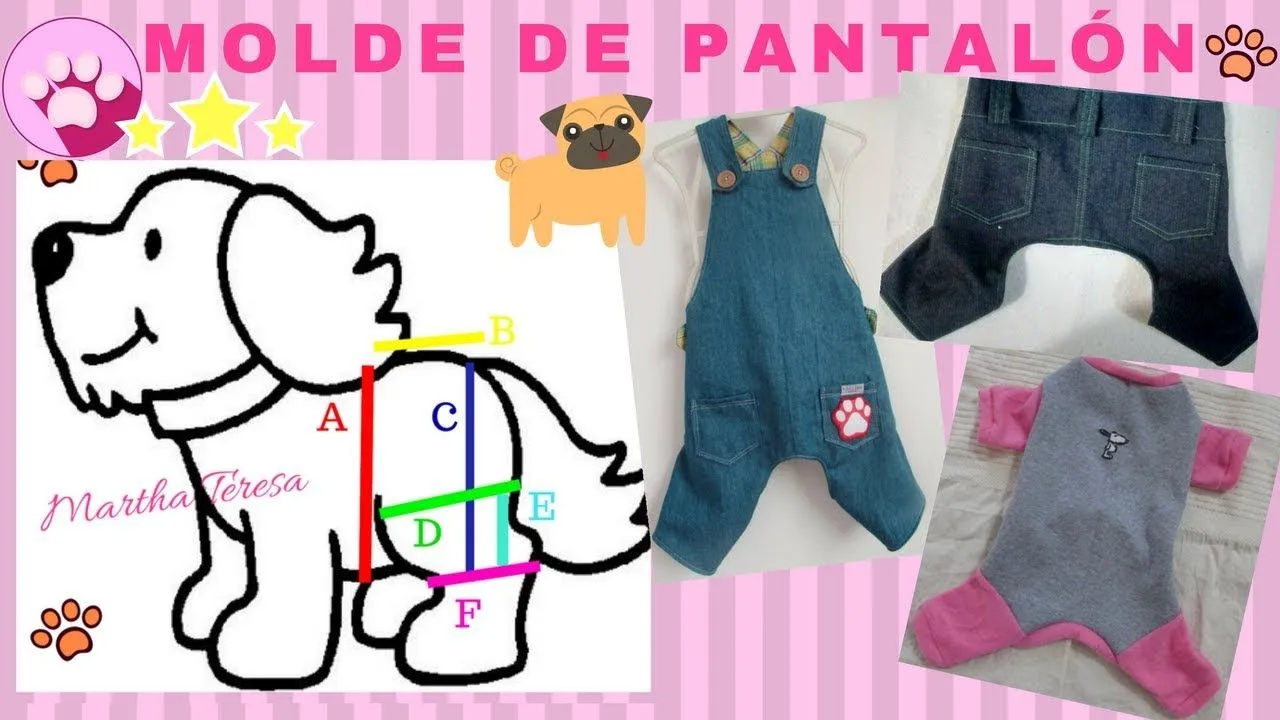 MOLDE DE PANTALÓN PARA PERRITOS ¡Super Fácil! - YouTube