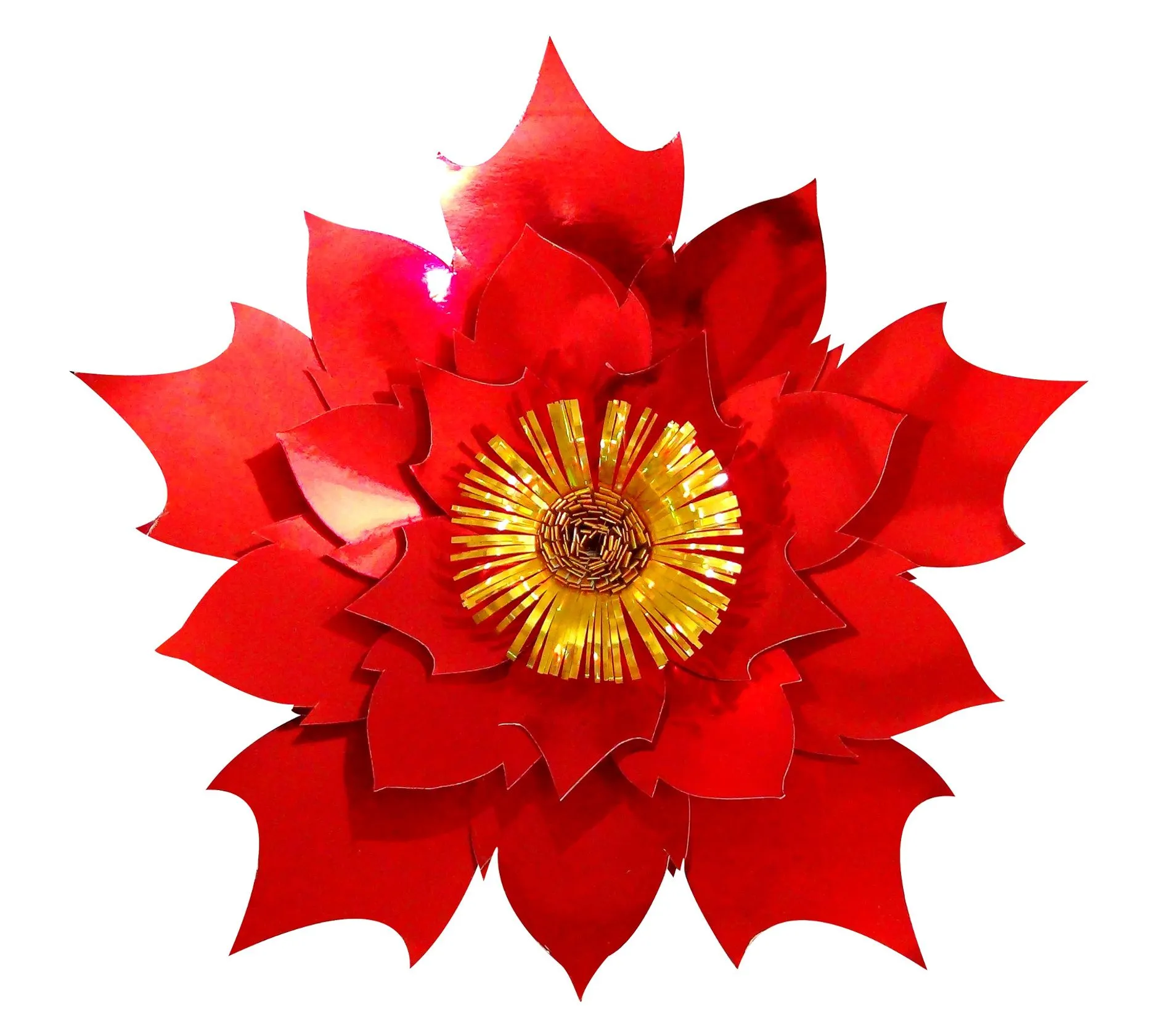 Molde en PDF Flor De Navidad Lili | Tienda Online Ponquis