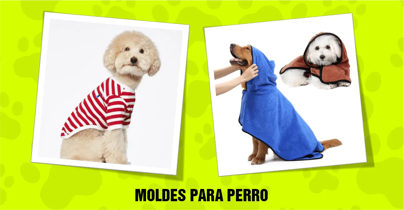Molde para Ropa de Perros – C7G Textil