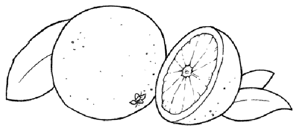 Moldes de Frutas e Legumes - Moldes Grátis