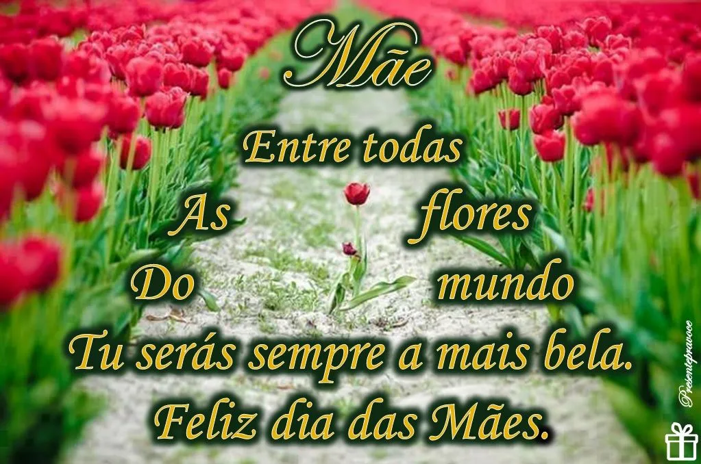 Molduras para montagens em cartões no dia das Mães. | Enchei-vos ...