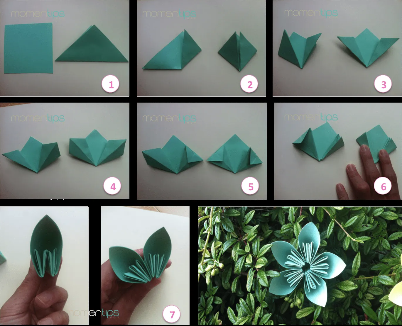 Momentips: DIY #6: Flores de papel