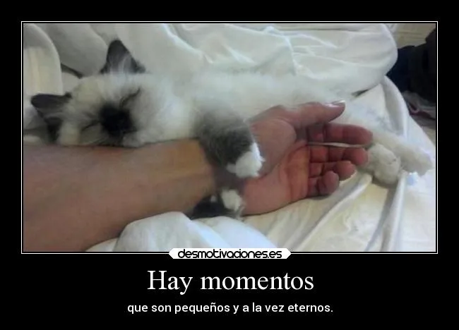 Hay momentos | Desmotivaciones