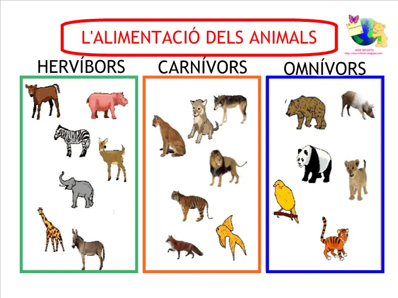 MÓN INFANTIL* y ciclo inicial: PROYECTO SERES VIVOS: la alimentación de los  animales