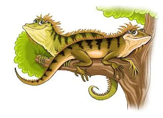 Solo de monitos y dibujos.: Iguanas