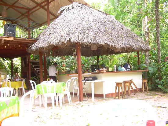 El Mono Blanco: fotografía de El Panchan, Palenque - TripAdvisor