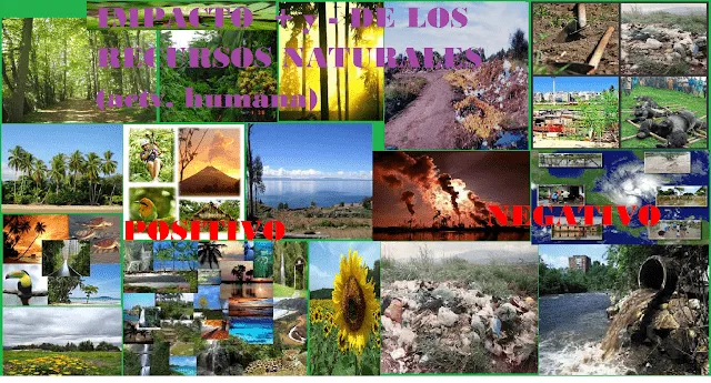 Montage - LOS RECURSOS NATURALES RENOVABLES