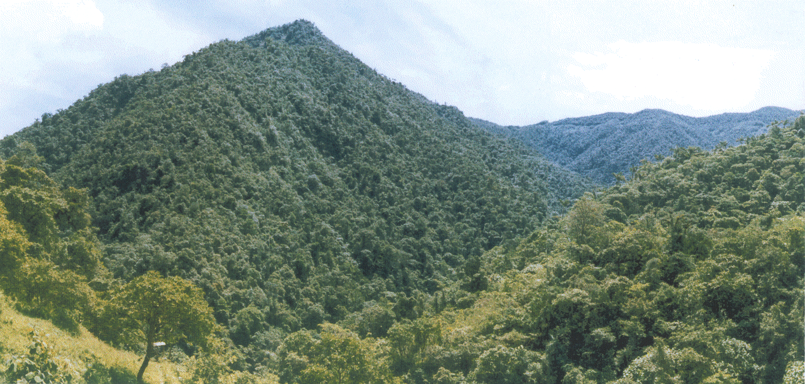 Montañas gif animado - Imagui