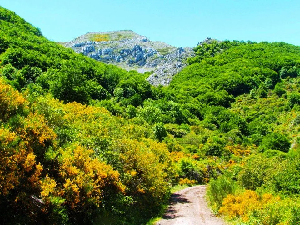 Montañas Verdes Animadas