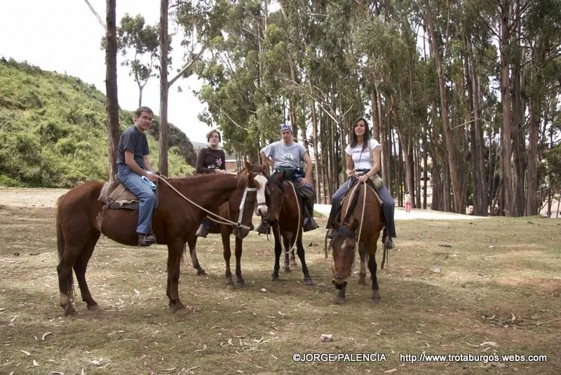 Montar a Caballo, Mas que una pasion: EXPERIENCIAS