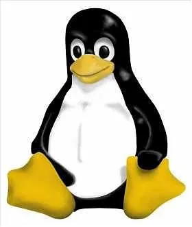 Montecitorio hi-tech: arriva il Pinguino Linux al posto di Windows ...