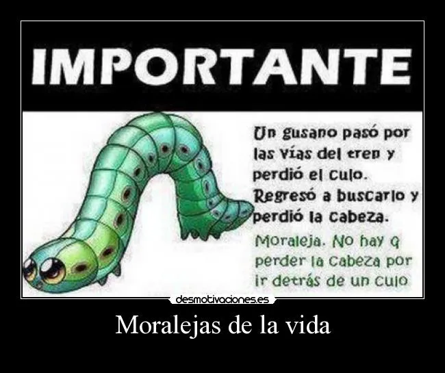 Moralejas de la vida | Desmotivaciones