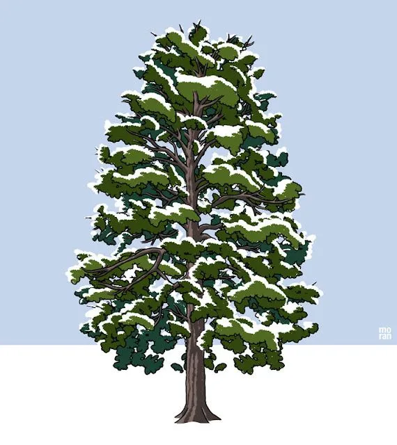 moran blog: ARBOL NEVADO