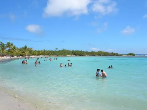 Morrocoy - Venezuela Tuya