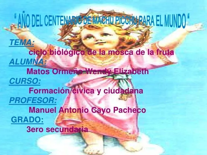 Mosca de la fruta ciclo biologico