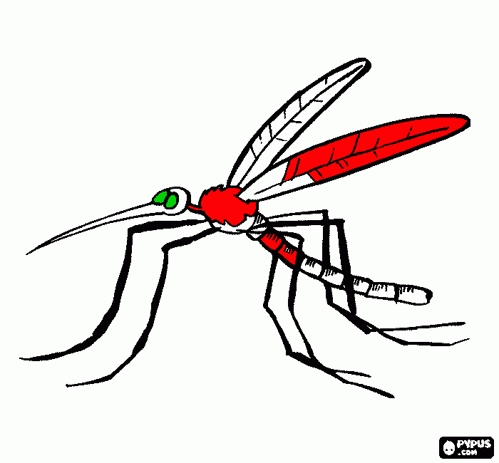 mosquito anjos da dengue Colouring Pages