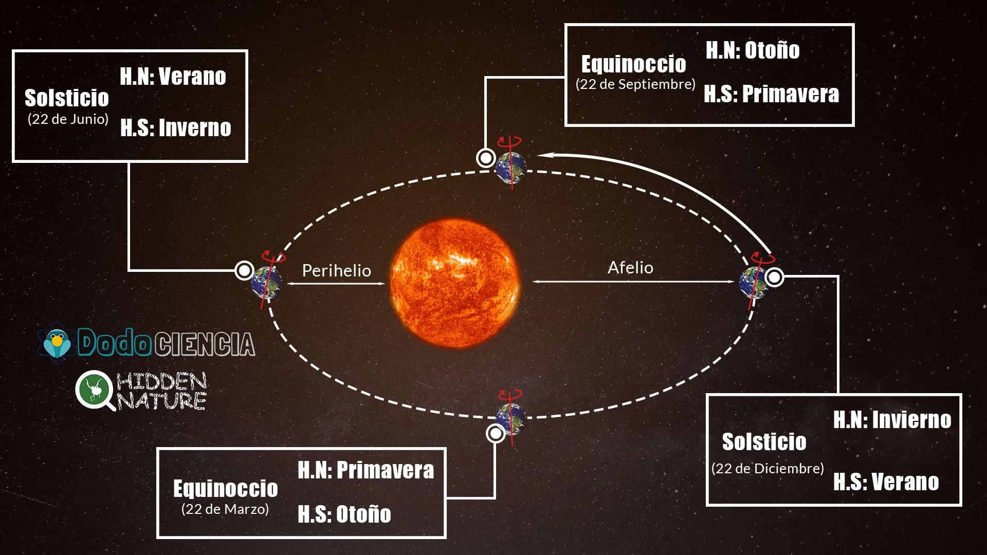 Movimiento de traslación: Equinoccios, solsticios y estaciones - Hidden Nature
