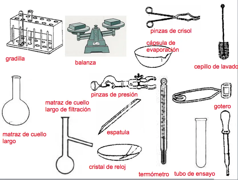 Mrs. Medina Blog: Instrumentos de laboratorio