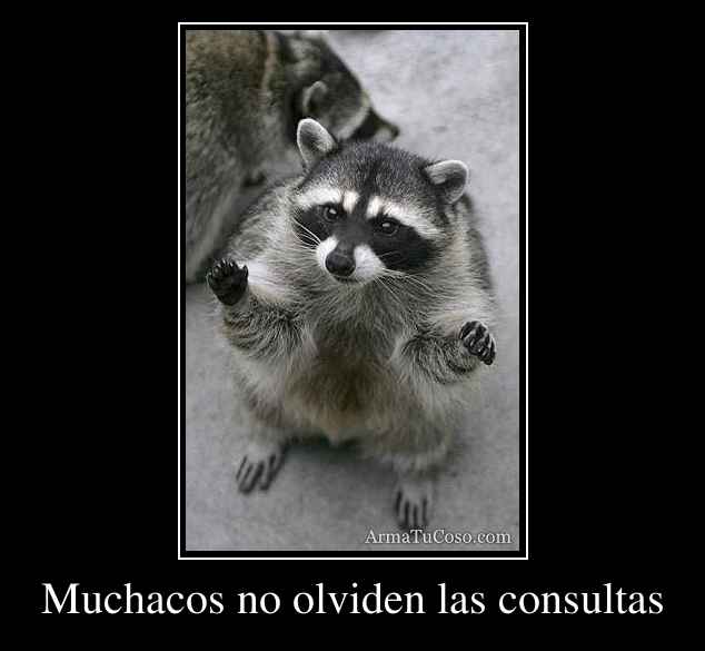 Muchacos no olviden las consultas