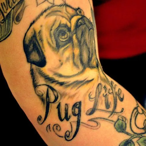 mugs of pugs, fuckyeahtattoos: Tattoo of “Pug Life” done by...