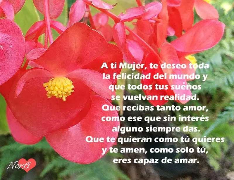 Mujer, poemas, frases e imágenes de homenaje y felicitación