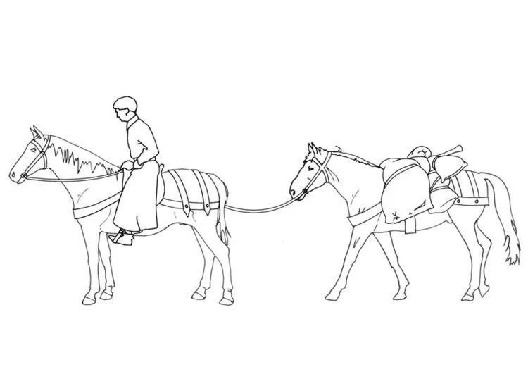 Mulas para dibujar - Imagui