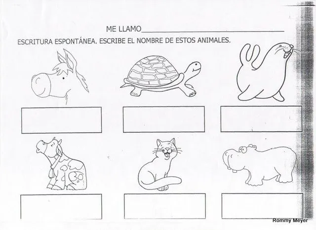 El mundo de los animales en Educación Infantil : ACTIVIDADES DE ...