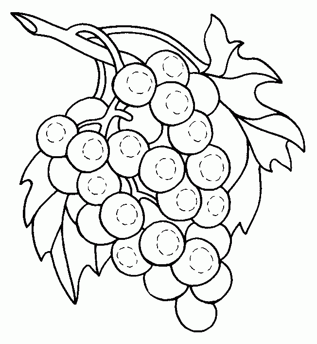 O mundo colorido: 7 Desenhos De Cacho De Uvas Para Colorir