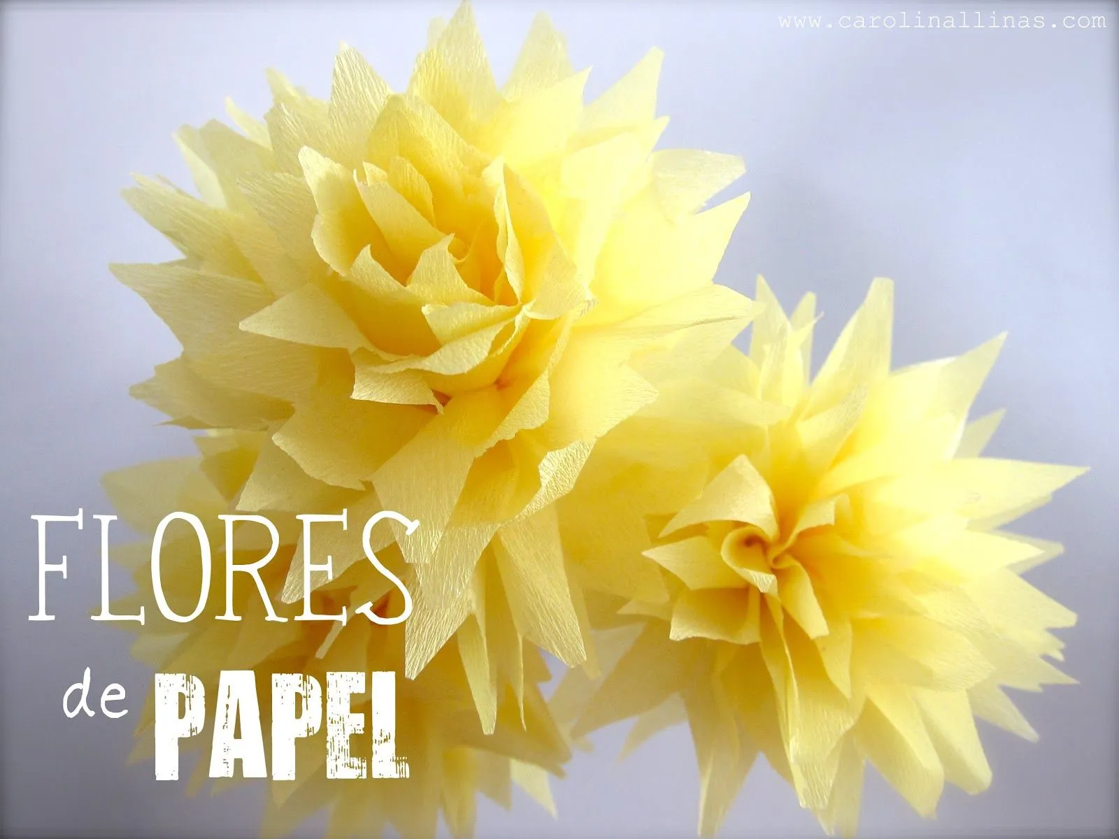 Nuestro Mundo Creativo: Flores de Papel Crepé