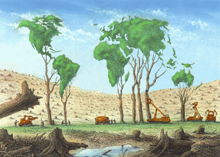 El mundo de la ecologia: Citas y humor ecologico