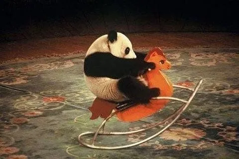 El Mundo en Imágenes on Twitter: "Panda feliz. http://t.co/Pk7jzpFxFG"