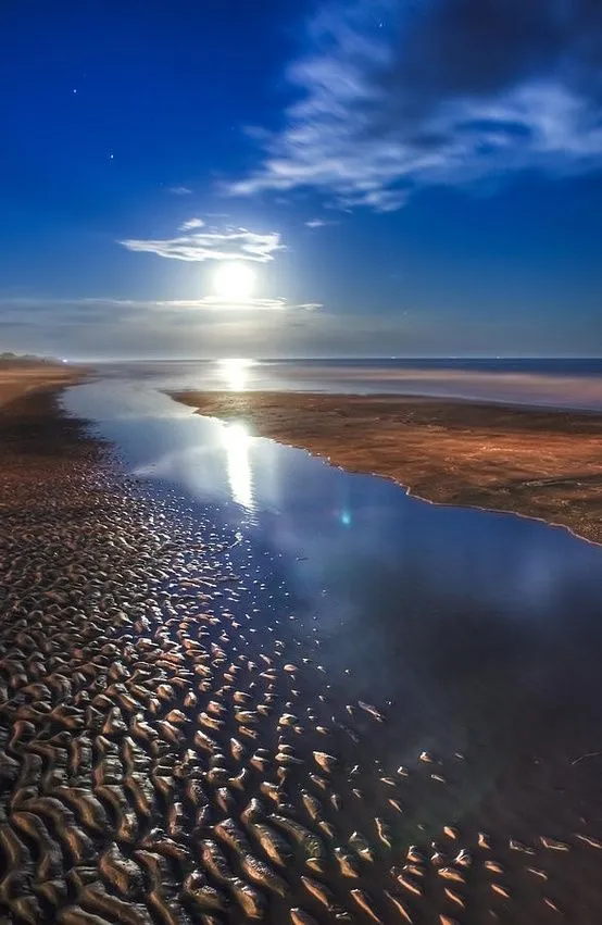 Un Mundo en Paz: Bellezas del mundo