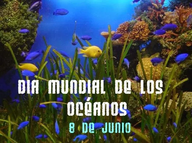 Un Mundo en Paz: 8 de Junio: Día Mundial de los Océanos