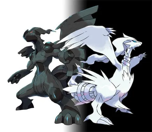 el mundo pokemon: Pokemon negro y blanco