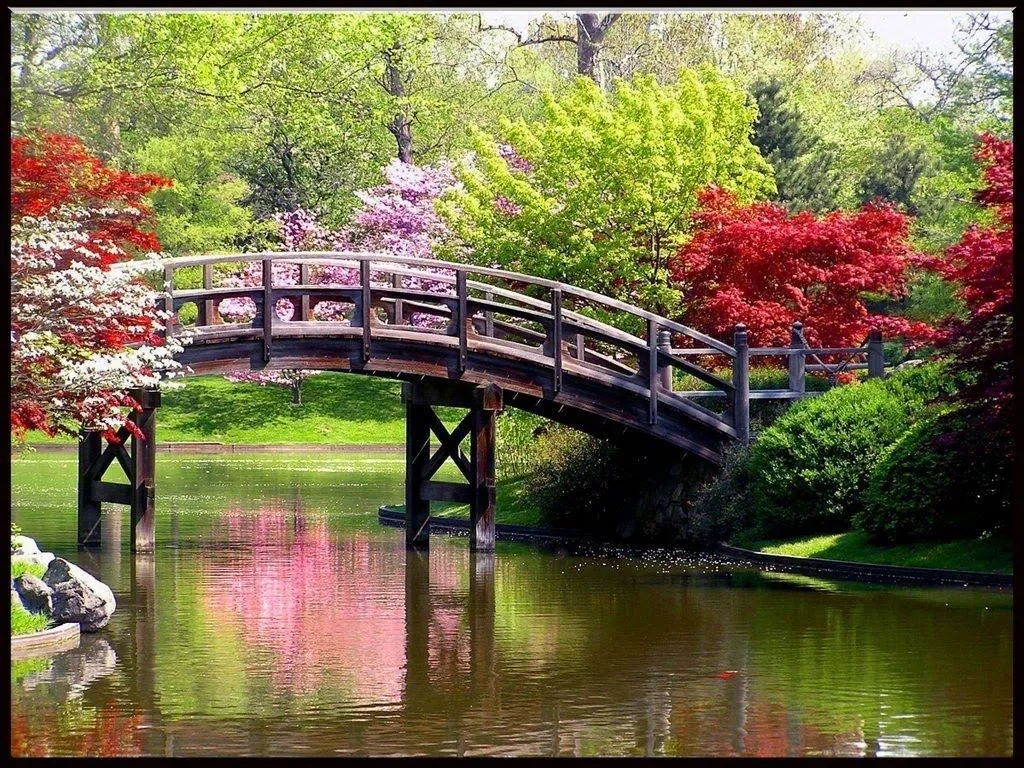 Fotos de la primavera ( Hermosas imagenes ) - Taringa!