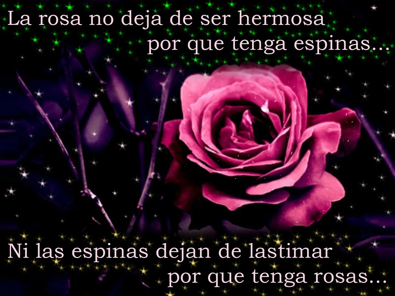 Mensajes de rosas - Imagui