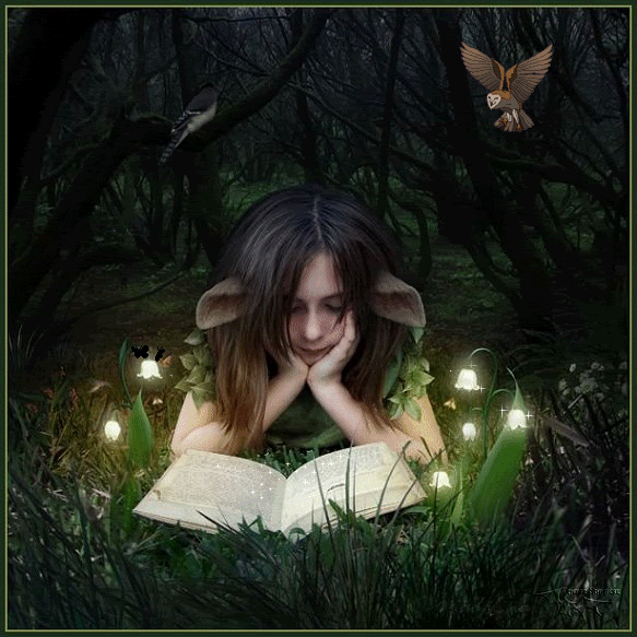 Los Mundos de Nayras: Cuento celta : las hadas del bosque