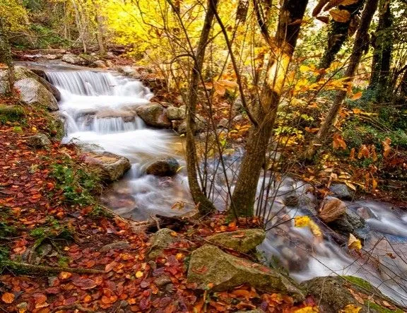 Muntanya blanca i gegant... amarada de sang | NacióGranollers.cat