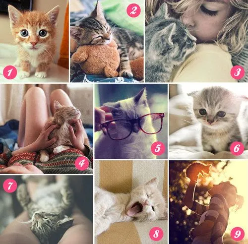 Mural da semana: gatos! Own! - Tech Girls - CAPRICHO on we heart ...