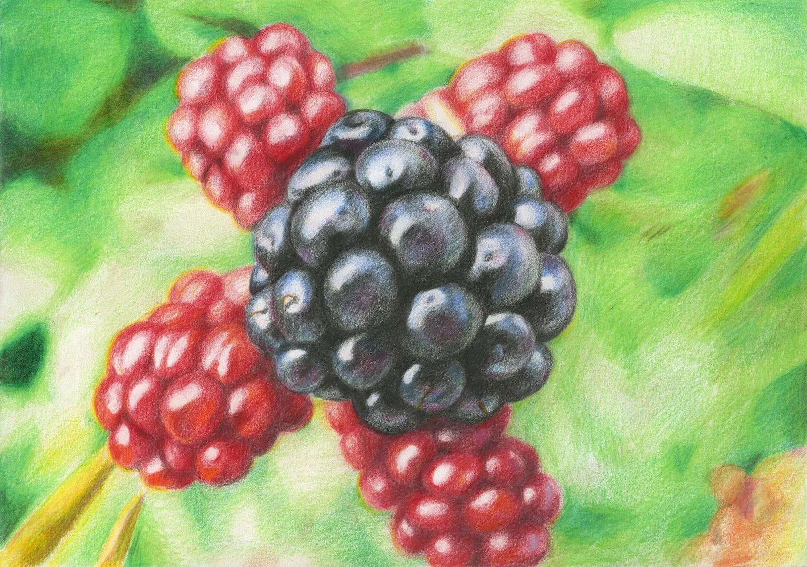 Una Musa en mi Tetera: Moras