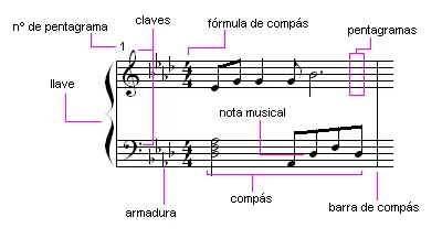 La música es bella: Elementos del pentagrama de una partitura musical