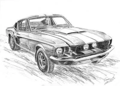 Mustang para dibujar - Imagui