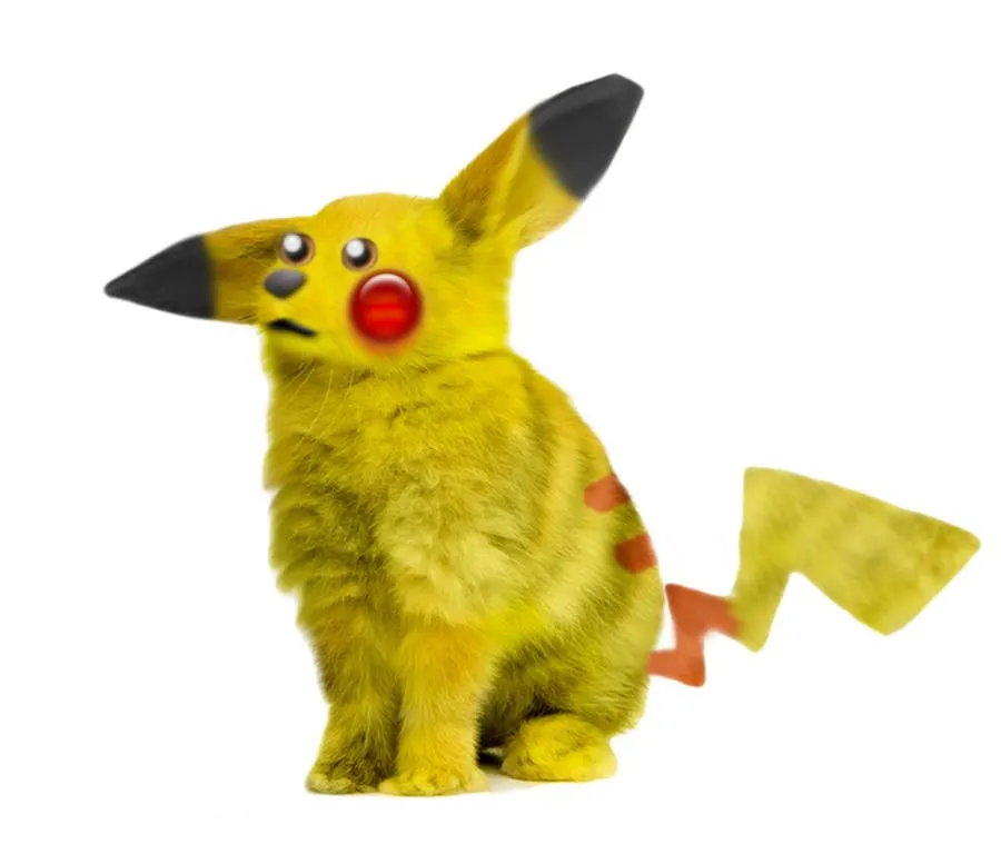 My Team's Pikachu Real Life by SacroTheHedgehog on DeviantArt