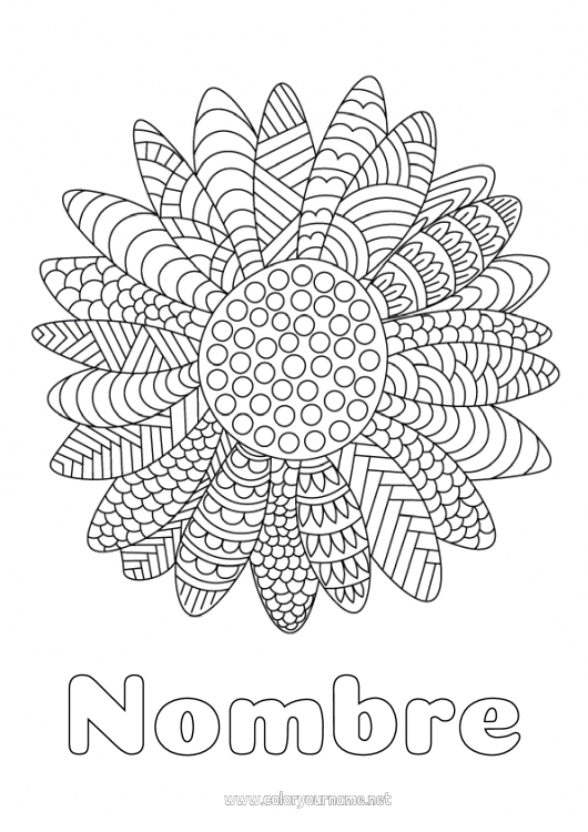 Nº de colorear 1909 - Flores Girasol Dibujos complejos para colorear