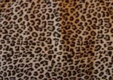 Nº2: Animal Print Leopardo Gris