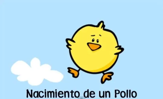 Nacimiento de un pollo (secuencia) | Diseño y Educación: Un ...