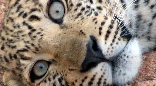 Lo Mejor de Namibia - Catai Tours