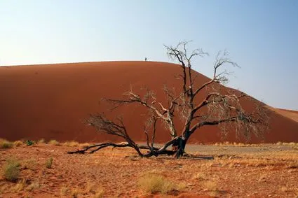 Namibia Por Descubrir